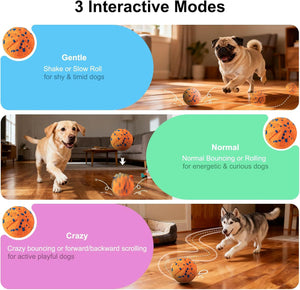 Three interactive modes for a dog toy with different behaviors and corresponding dogs on a wooden floor at Pet Servo