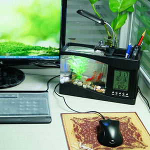 Small aquarium with fish on a desk next to a computer setup at Pet Servo