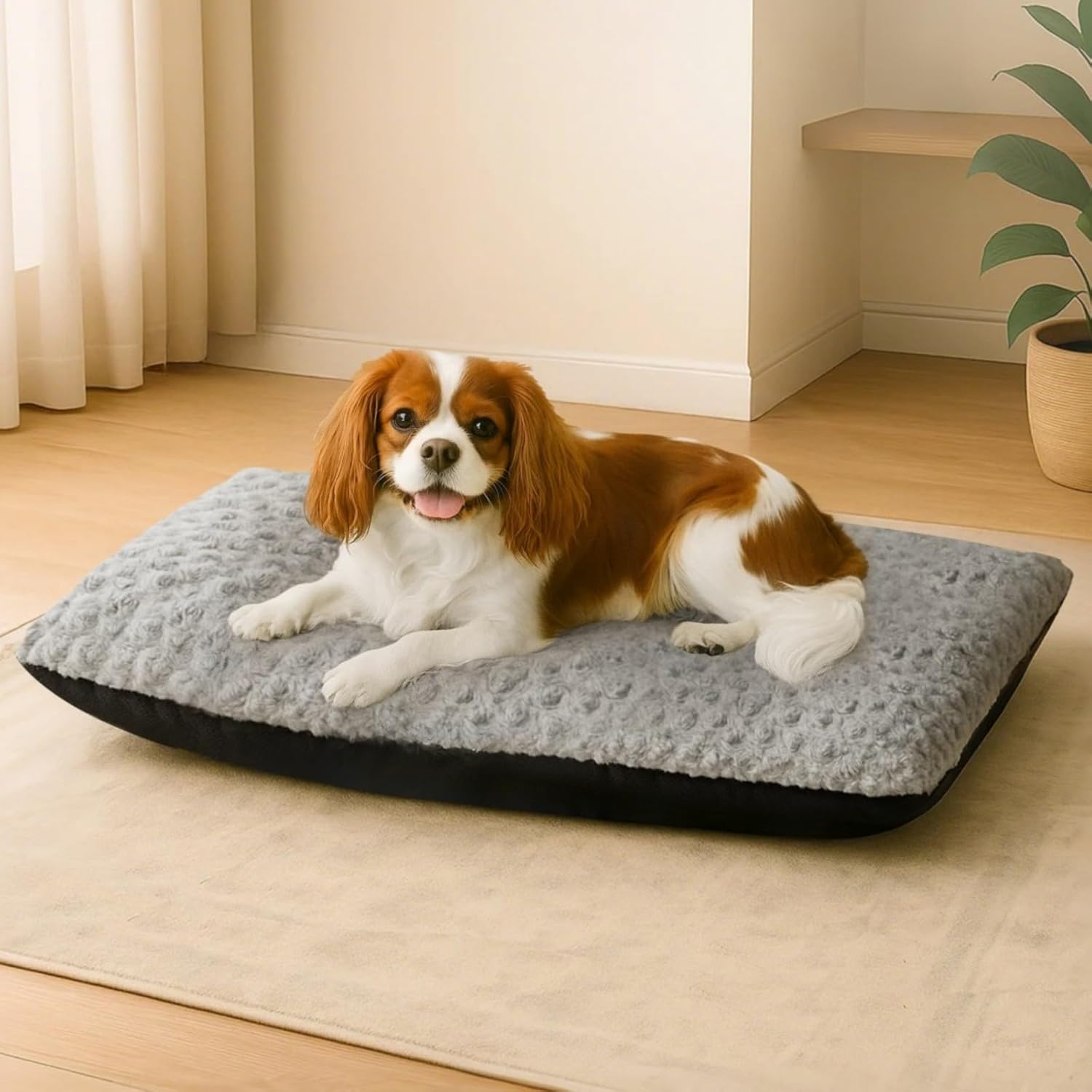 Dog lying on a gray pet bed in a home setting at Pet Servo