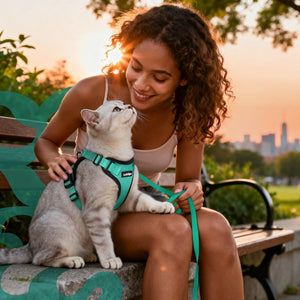 Woman with a cat wearing a harness in a park at sunset at Pet Servo