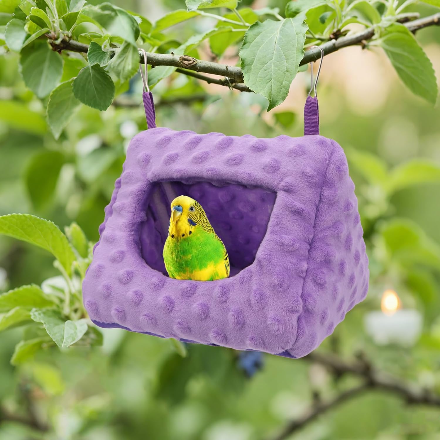 Purple bird hammock with a green and yellow parakeet inside, hanging from a tree branch at Pet Servo