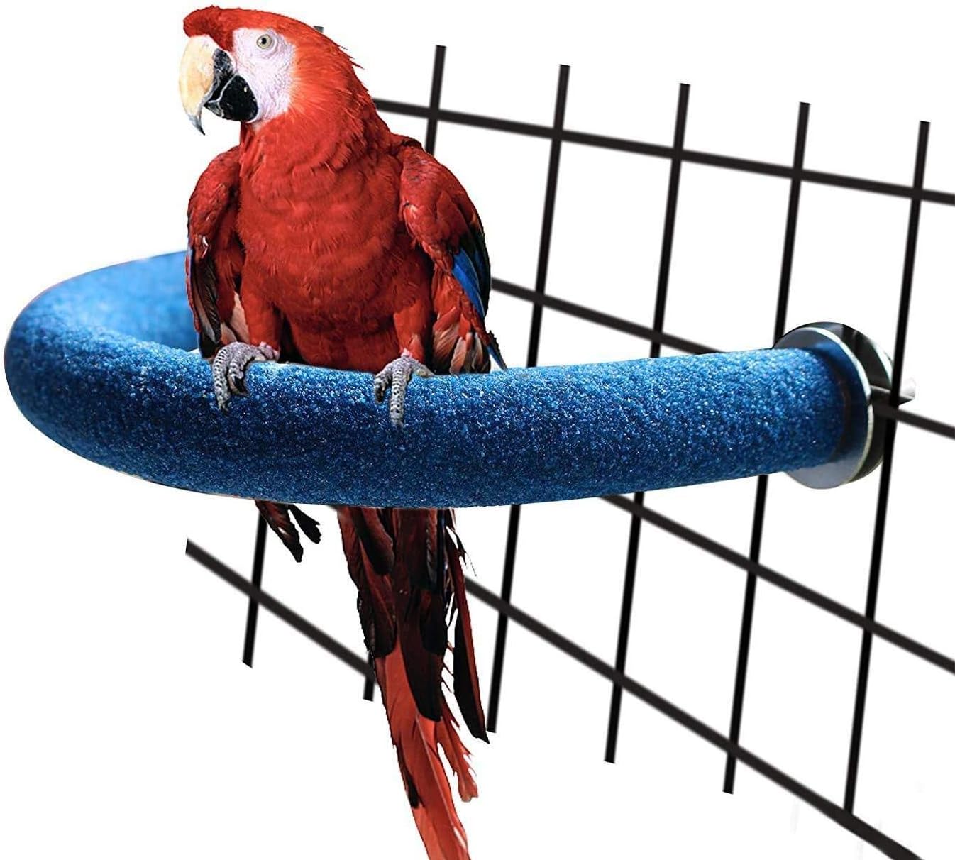 Red parrot perched on a blue perch against a wire cage background at Pet Servo