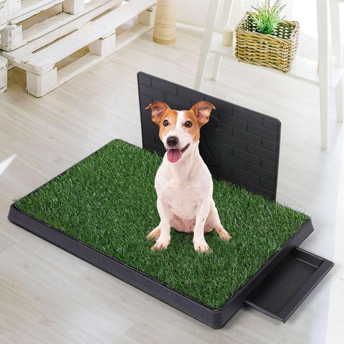 PaWz - Large 3 Layers Pet Toilet Training Pad with 2 Grass Mat 1 Splash-Proof Wall at Pet Servo