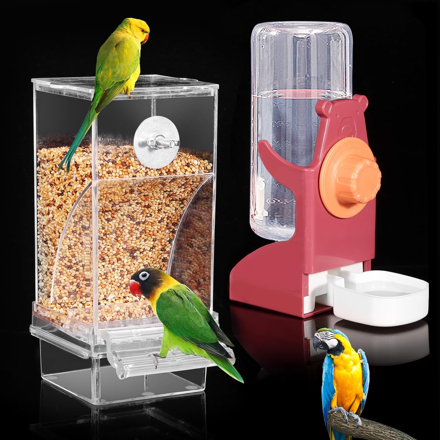 Bird feeder with birds and a water dispenser on a reflective surface at Pet Servo