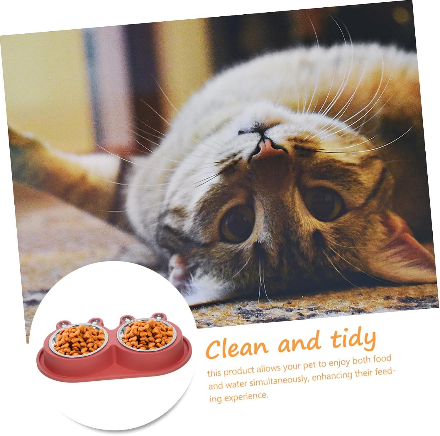 A cat lying on its back with a double-compartment pet food and water bowl in red shown in a circular inset. The image includes marketing text reading 'Clean and tidy' and a close-up photo of the cat at Pet Servo