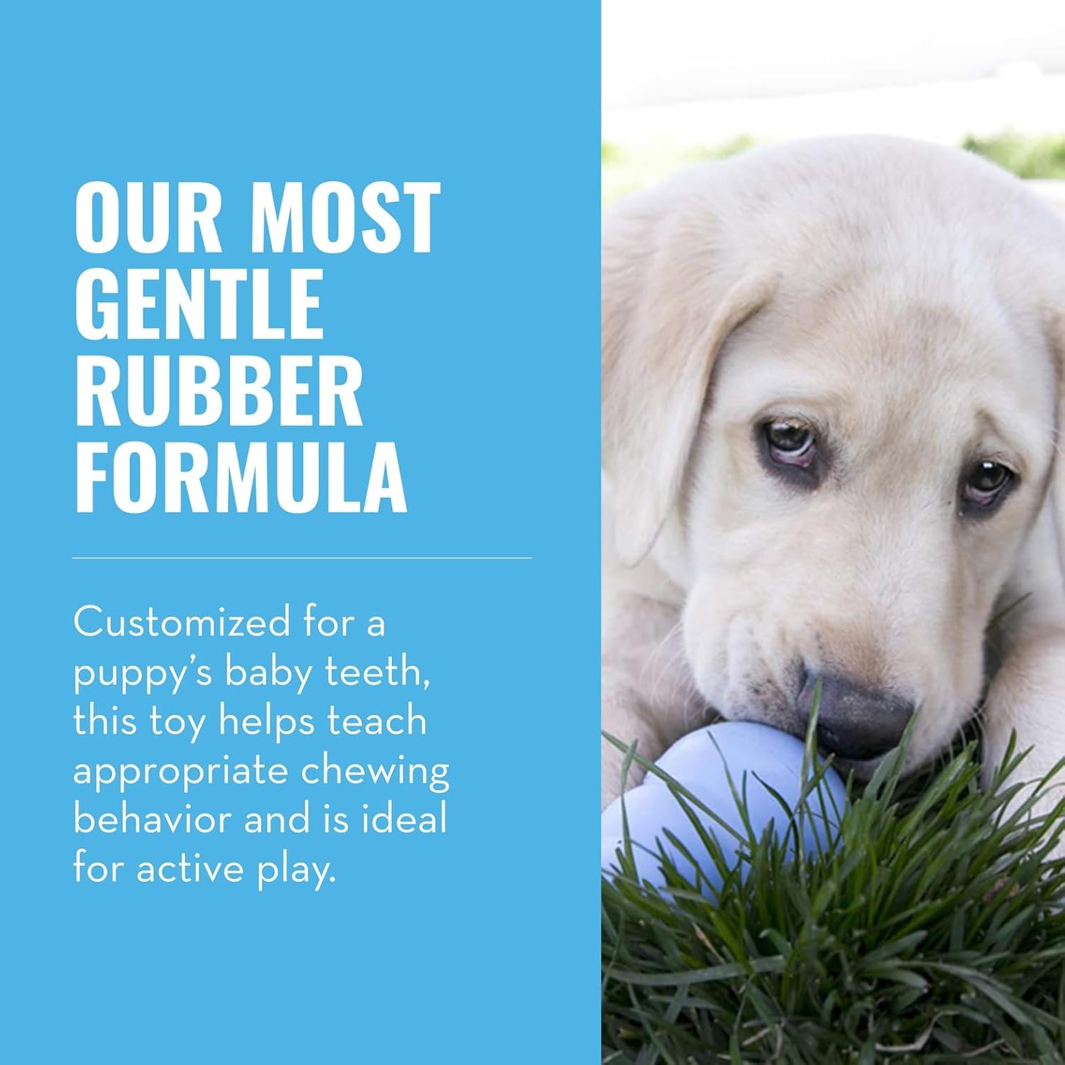 Dog chewing on a blue rubber toy with text about the product's gentle formula for puppies at Pet Servo