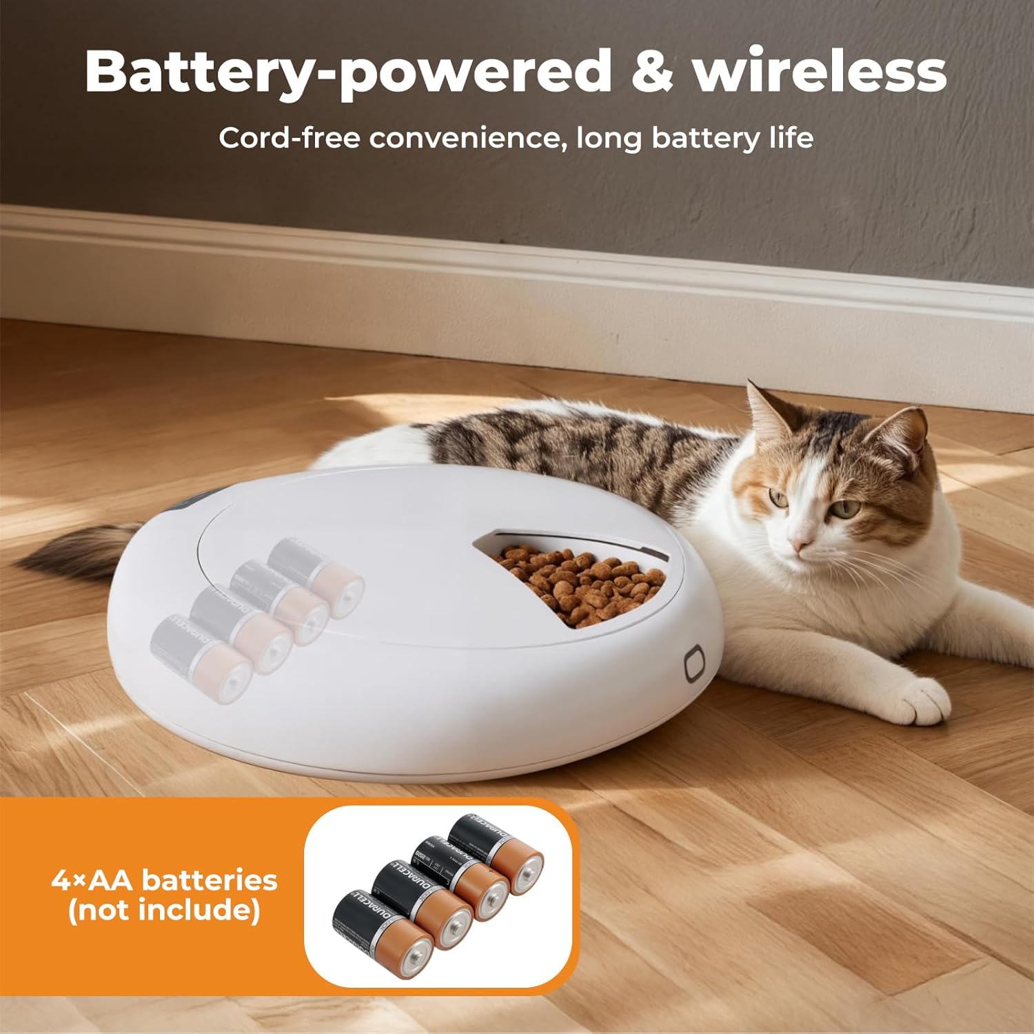 Cat next to a battery-powered wireless pet feeder on a wooden floor at Pet Servo
