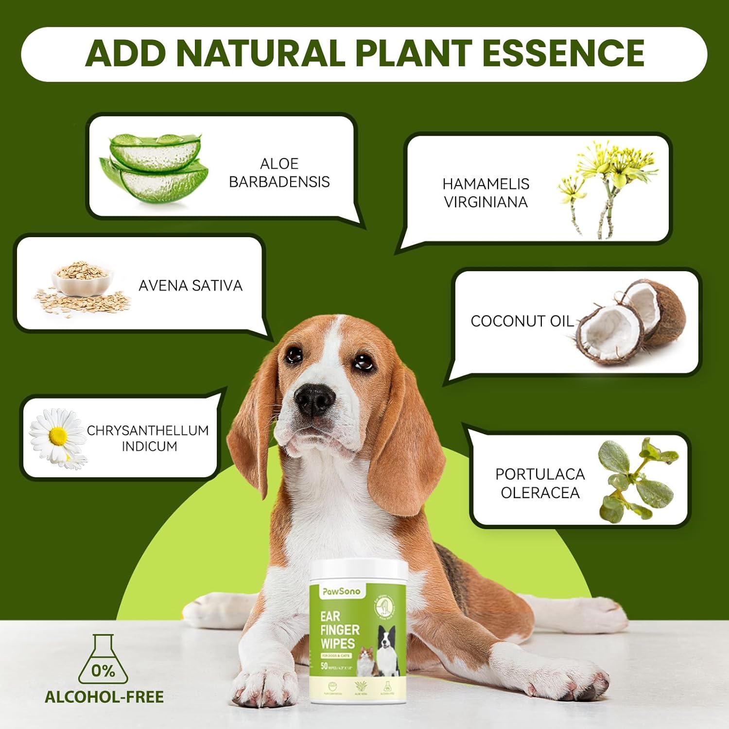 Dog with a bottle of ear cleaner and natural plant essences on a green background at Pet Servo