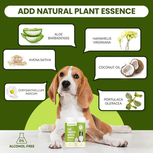 Dog with a bottle of ear cleaner and natural plant essences on a green background at Pet Servo