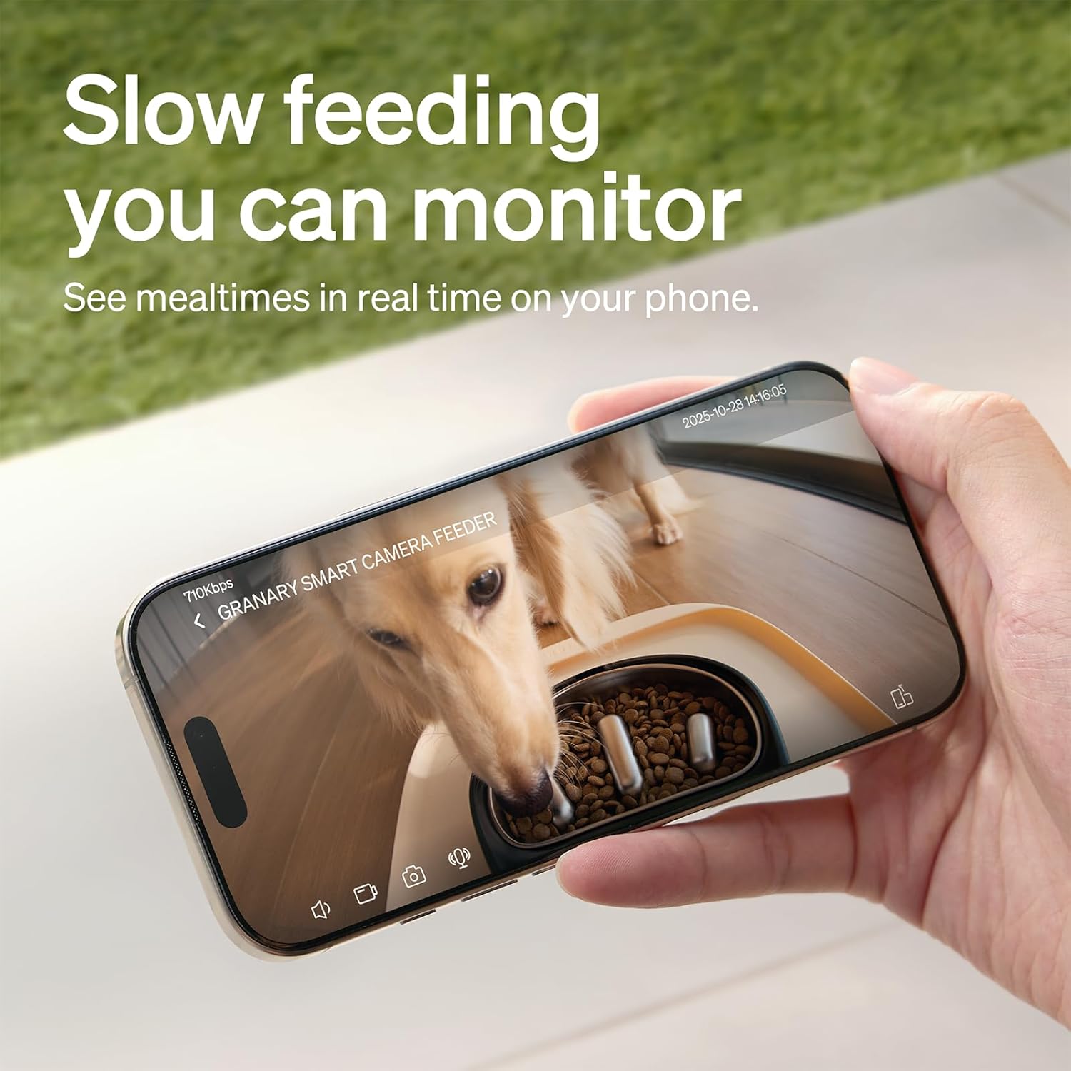 Hand holding a smartphone displaying a camera app with a dog eating from a bowl, text 'Slow feeding you can monitor' and 'See mealtimes in real time on your phone.'.