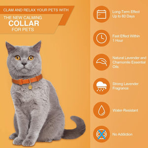Cat wearing a calming collar with product features on an orange background at Pet Servo
