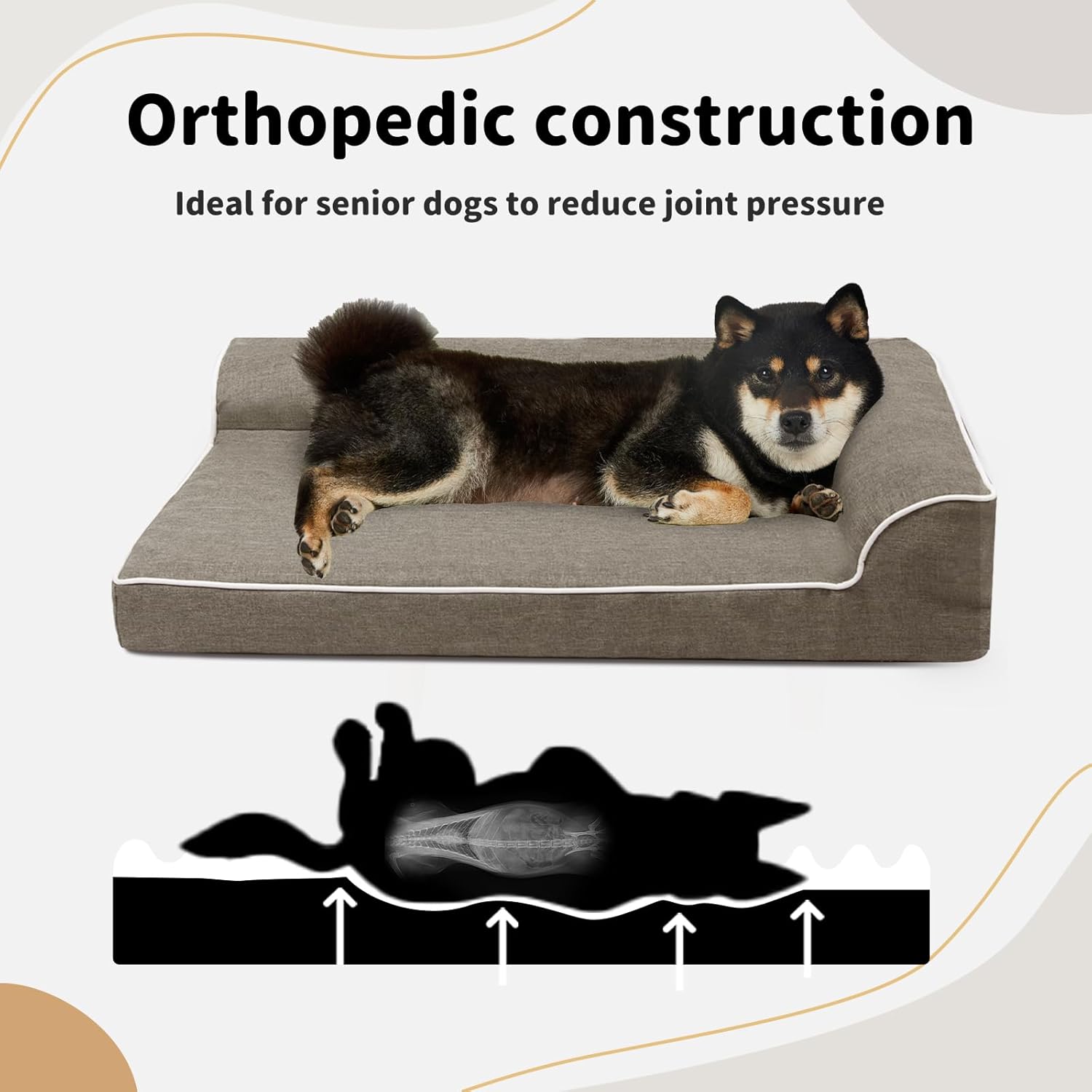 Dog lying on an orthopedic pet bed with text about its benefits for senior dogs at Pet Servo