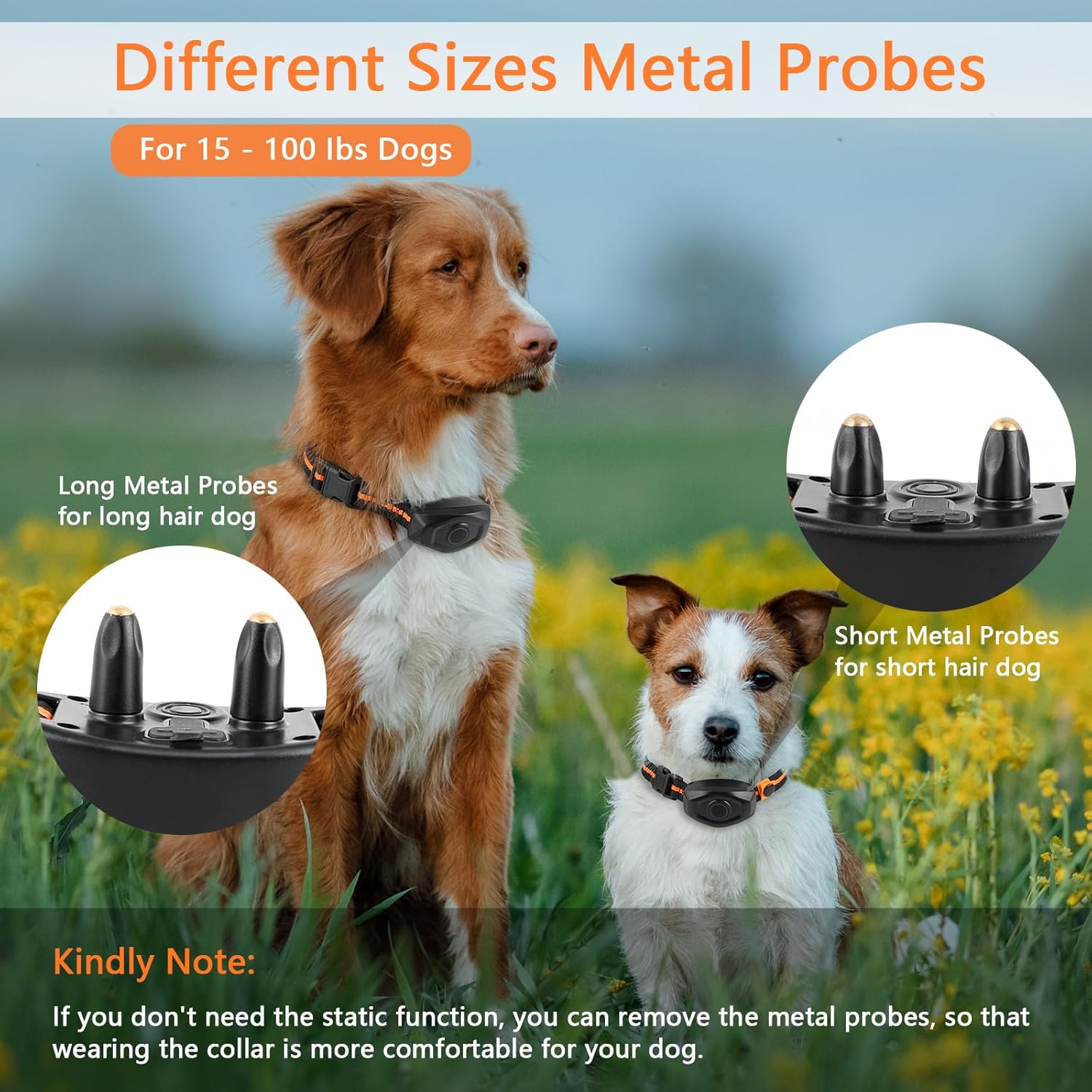 Two dogs wearing collars with metal probes and text about different sizes for dogs of various weights at Pet Servo