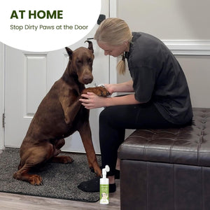 Woman cleaning a dog's paws with a product at home at Pet Servo