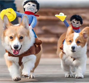 Two corgis in costumes of characters with a blurred background