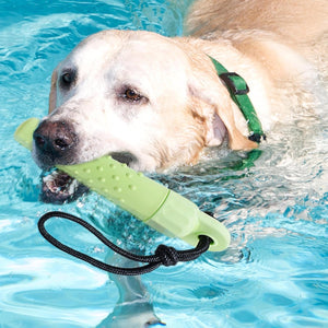 Dog swimming in water with a green toy in its mouth at Pet Servo