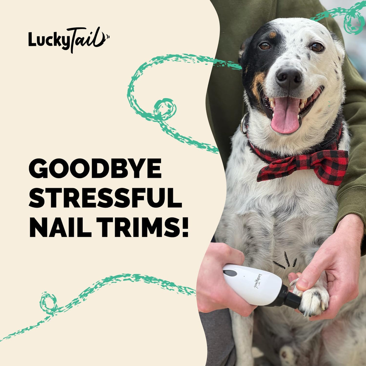 Dog being held by a person with a nail trimmer, wearing a red plaid bow tie, on a beige background with 'Lucky Tail' branding.