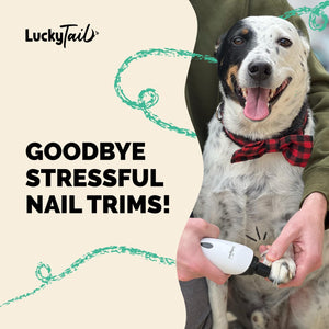 Dog being held by a person with a nail trimmer, wearing a red plaid bow tie, on a beige background with 'Lucky Tail' branding.