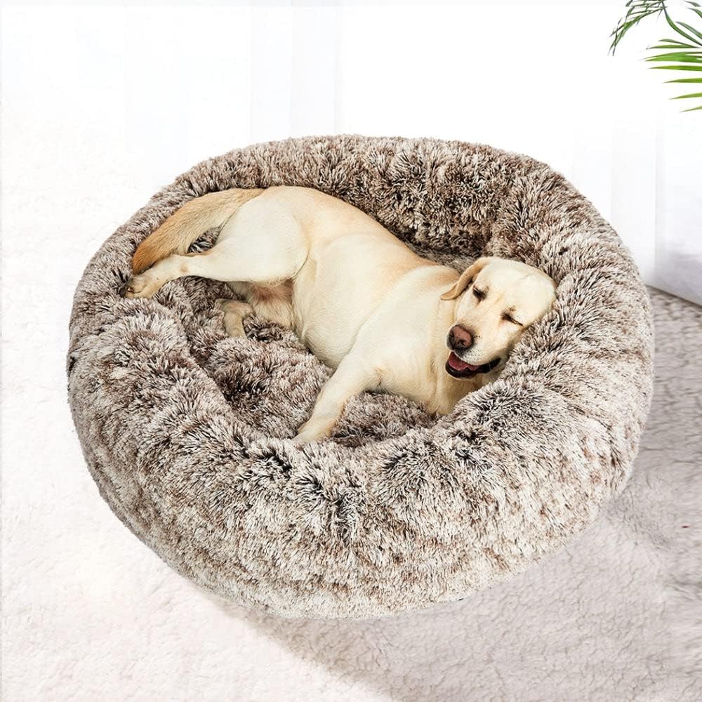 Dog lying on a fluffy pet bed with a white background at Pet Servo