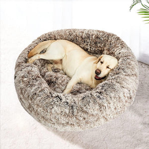 Dog lying on a fluffy pet bed with a white background at Pet Servo