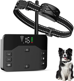 Dog training collar with remote control and a dog sitting next to it on a white background at Pet Servo