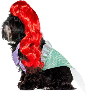 A small black dog wearing a mermaid costume with a bright red wig, purple top, and green scale-patterned tail cape on a white background at Pet Servo