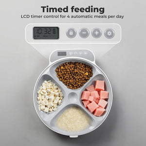 Pet food dispenser with digital timer and divided compartments for different types of pet food at Pet Servo