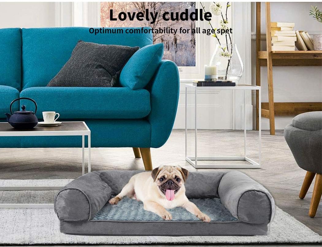 Dog lying on a gray pet bed in a living room with a blue couch and coffee table at Pet Servo