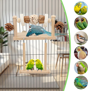 Bird playstand with birds on a cage, surrounded by circular insets of different birds at Pet Servo
