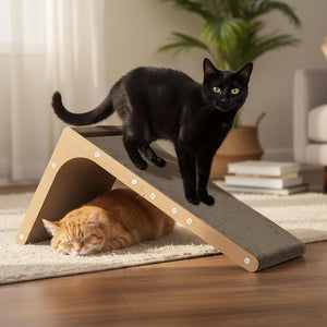 Two cats on a wooden ramp in a home setting at Pet Servo