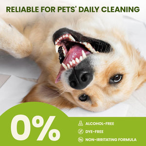 Dog lying down with a focus on its mouth, surrounded by text about pet cleaning products at Pet Servo