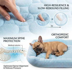 Pbed - Pet Ice Silk Summer Cooling Bed with Non-Slip Bottom, (Blue Medium) at Pet Servo