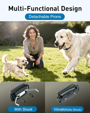 Woman with two dogs in a grassy area, showcasing a multi-functional design product with detachable prongs at Pet Servo