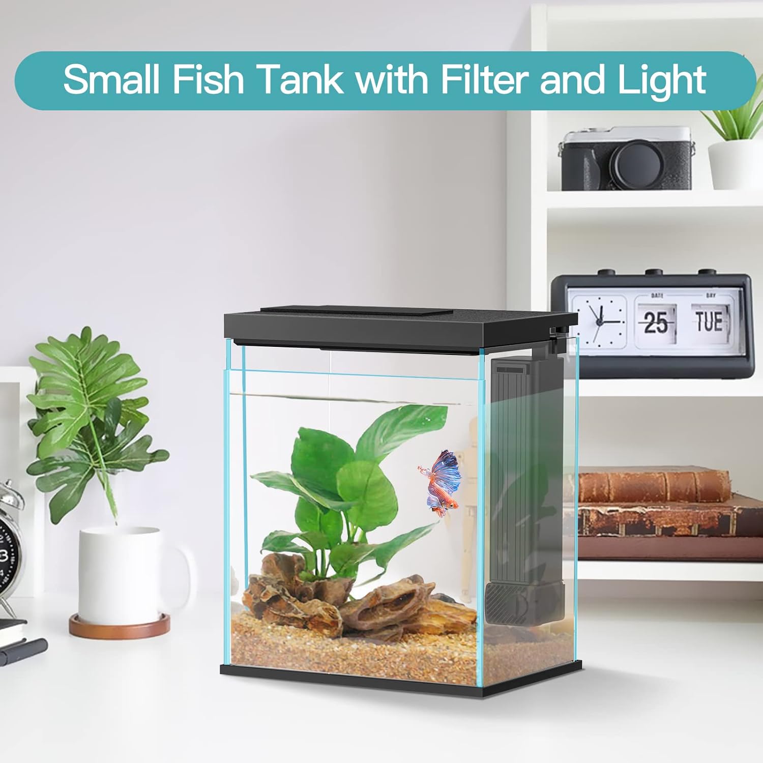 Small fish tank with filter and light on a white surface with decorative items.