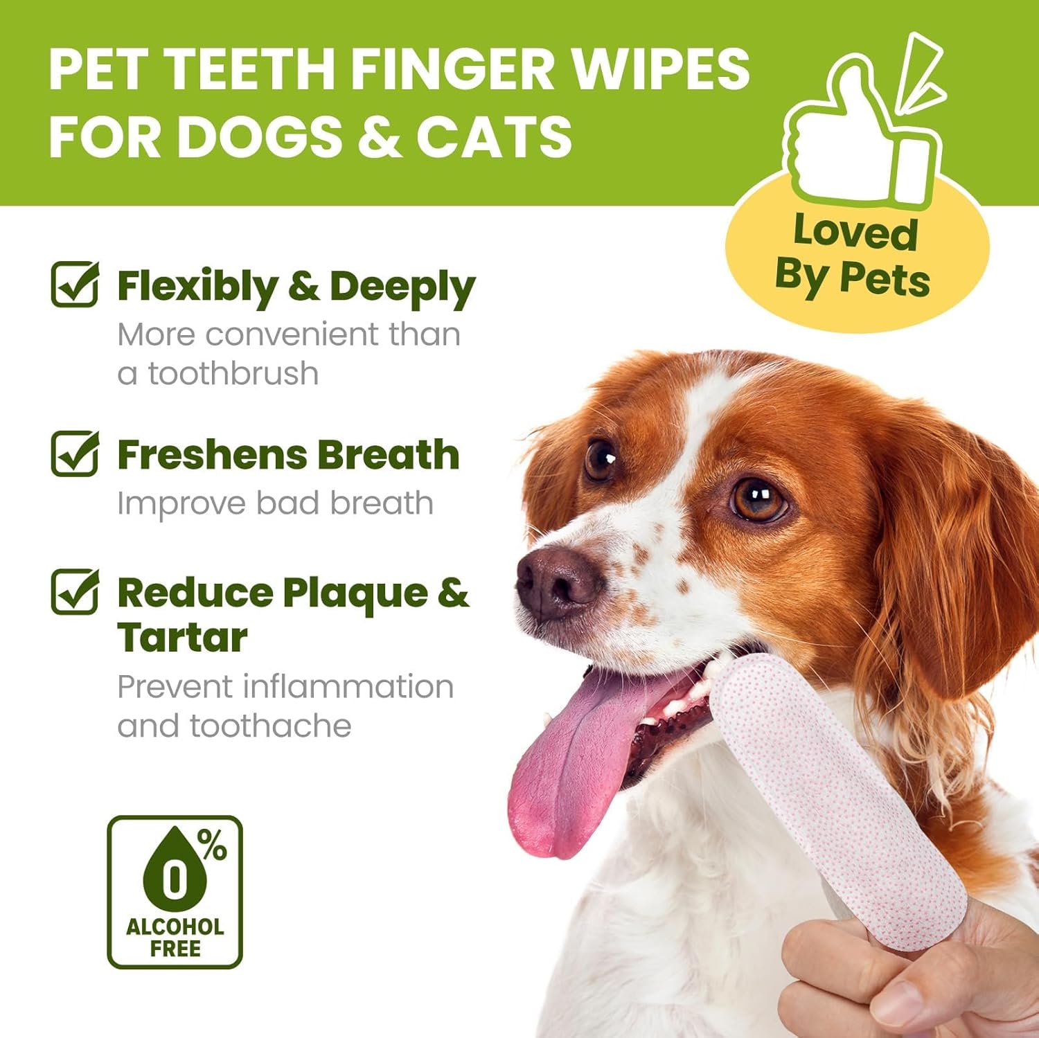 Pet teeth finger wipes for dogs and cats with a dog holding the wipes at Pet Servo