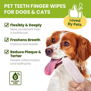 Pet teeth finger wipes for dogs and cats with a dog holding the wipes at Pet Servo