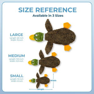 Size reference chart for turtle-shaped toys with measurements on a light blue background at Pet Servo