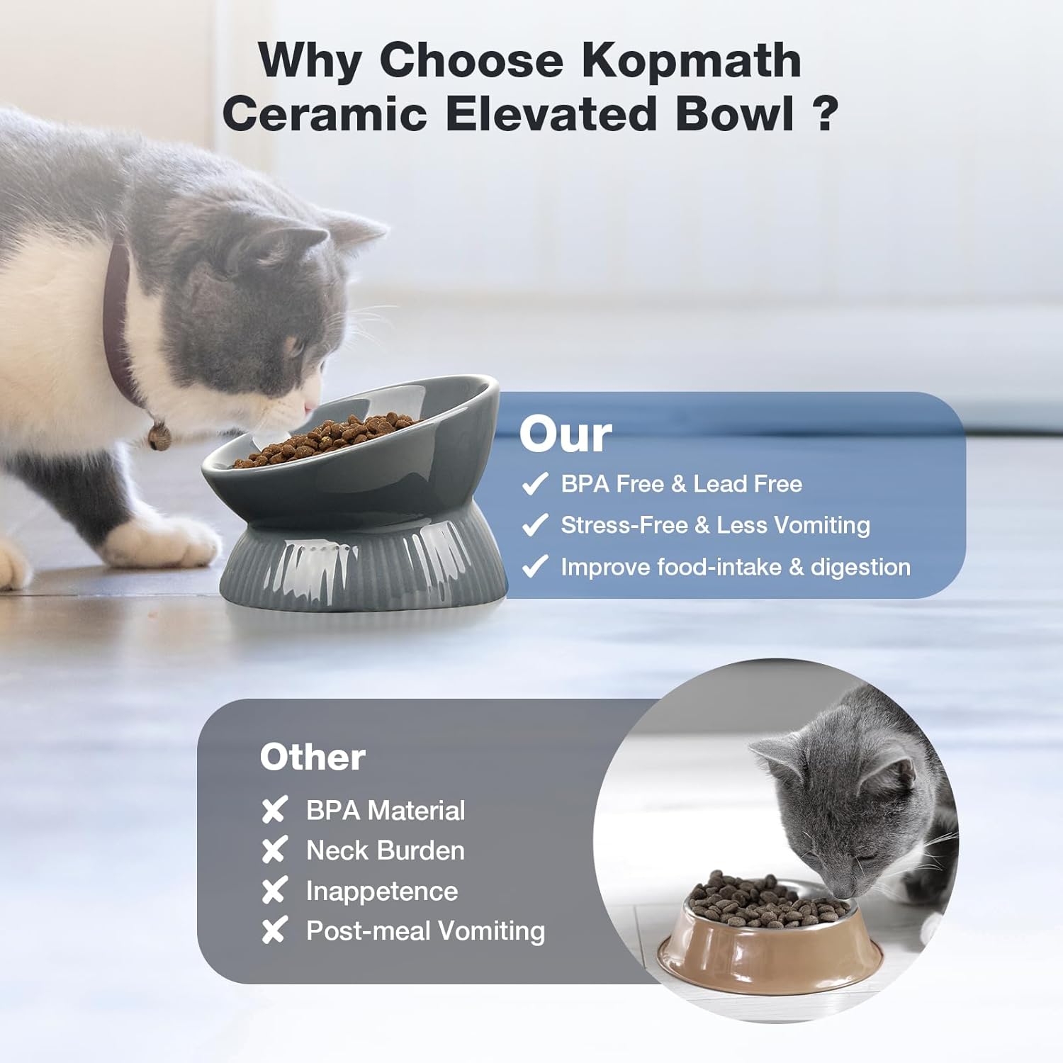 Cat eating from a ceramic elevated bowl with text highlighting benefits on a light background at Pet Servo