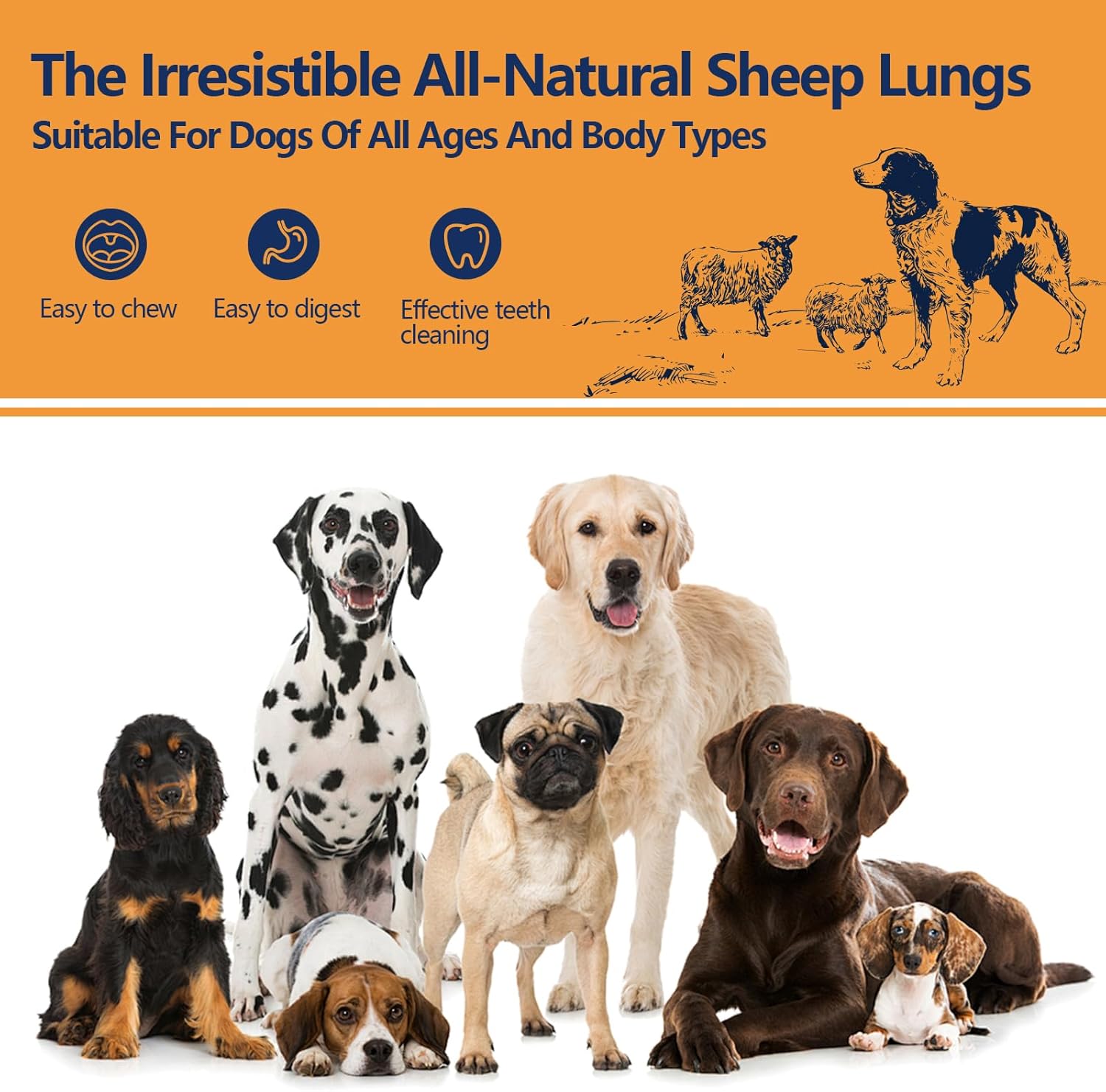 Promotional image of dogs with text about all-natural sheep lungs for dog health at Pet Servo