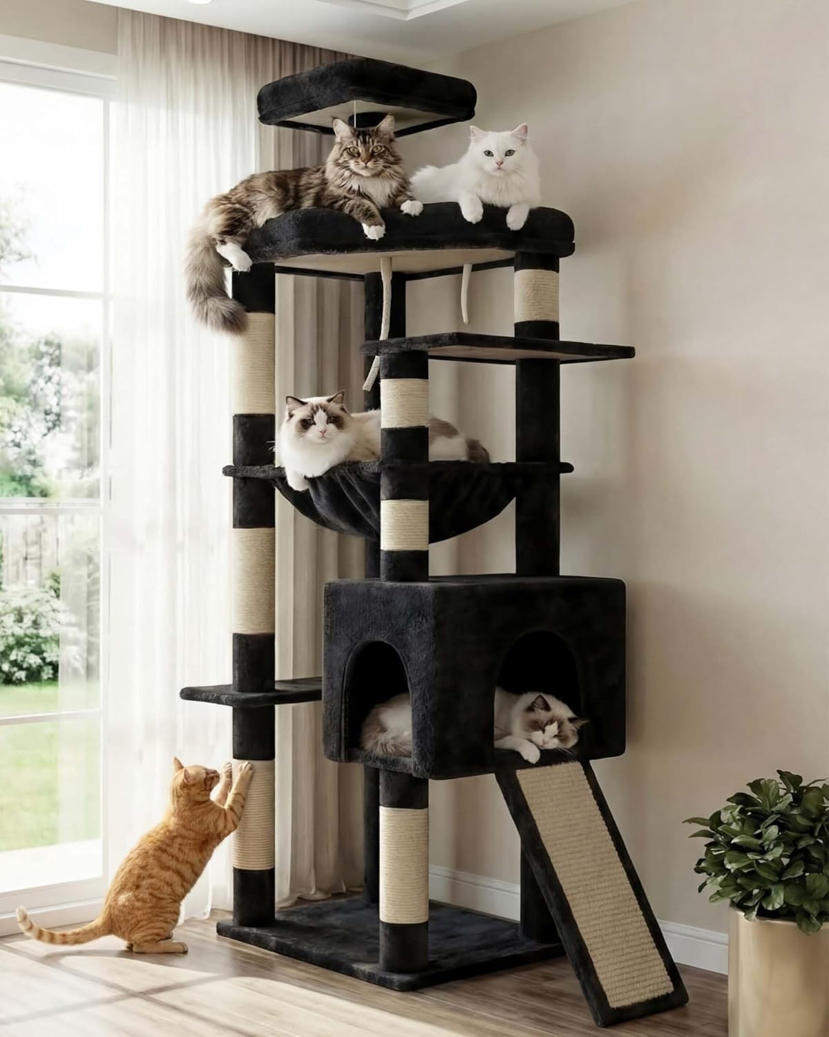 Cat tree with multiple cats on different levels in a room with a window and plant at Pet Servo