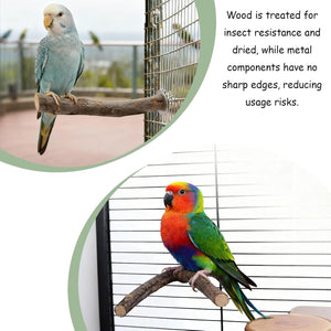 Two parrots on branches with text about wood treatment and metal components at Pet Servo