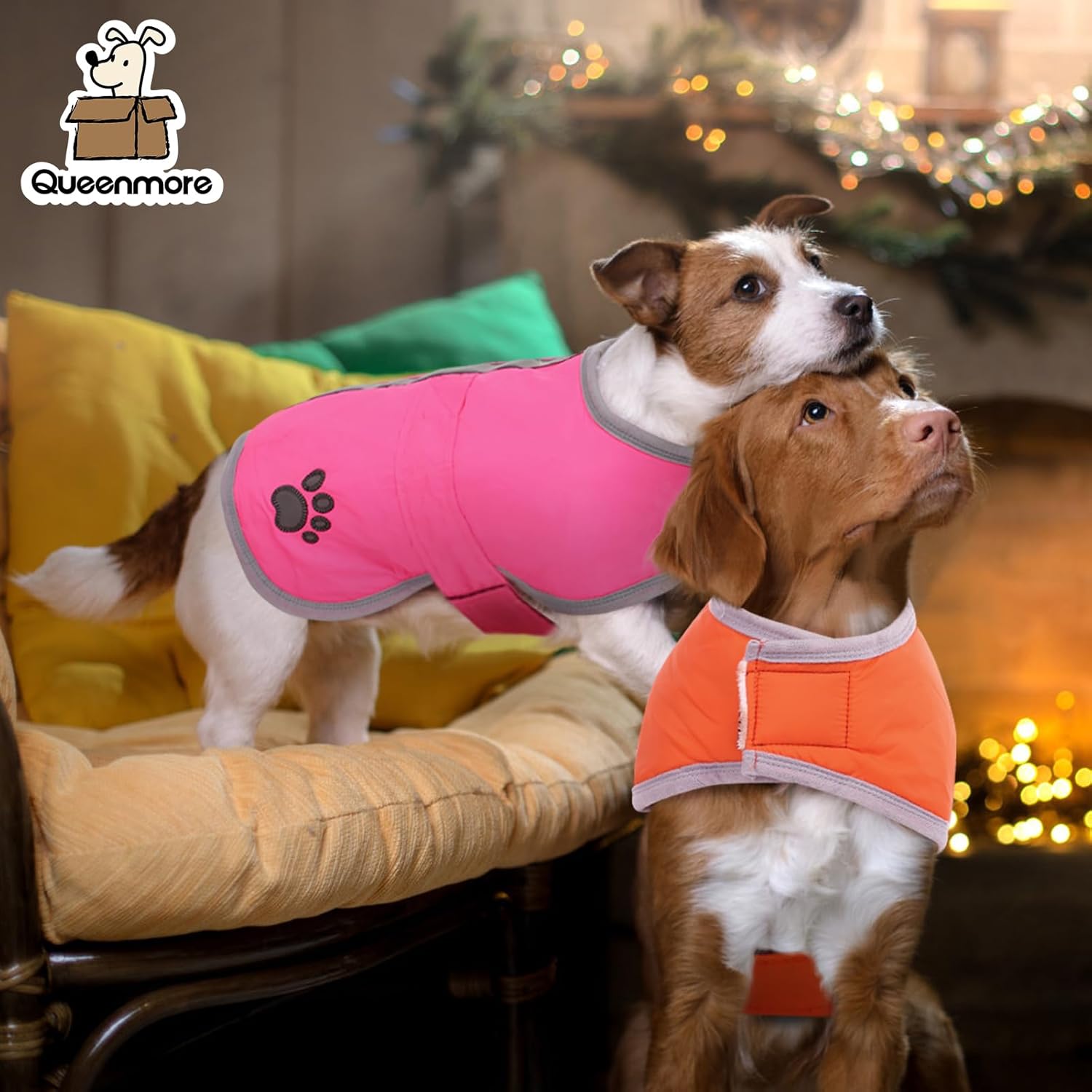 Two dogs wearing colorful coats sitting on a couch with a warm, cozy background at Pet Servo
