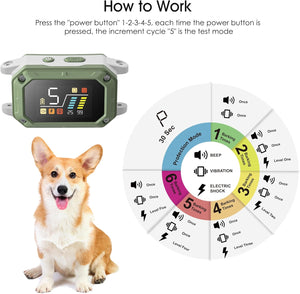Dog training device with control panel and a dog, showing how to use the device at Pet Servo