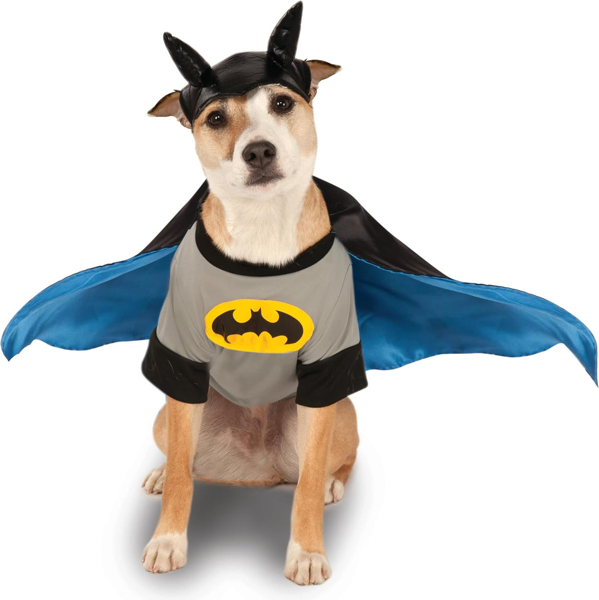Dog wearing a Batman costume with cape and mask on a white background at Pet Servo