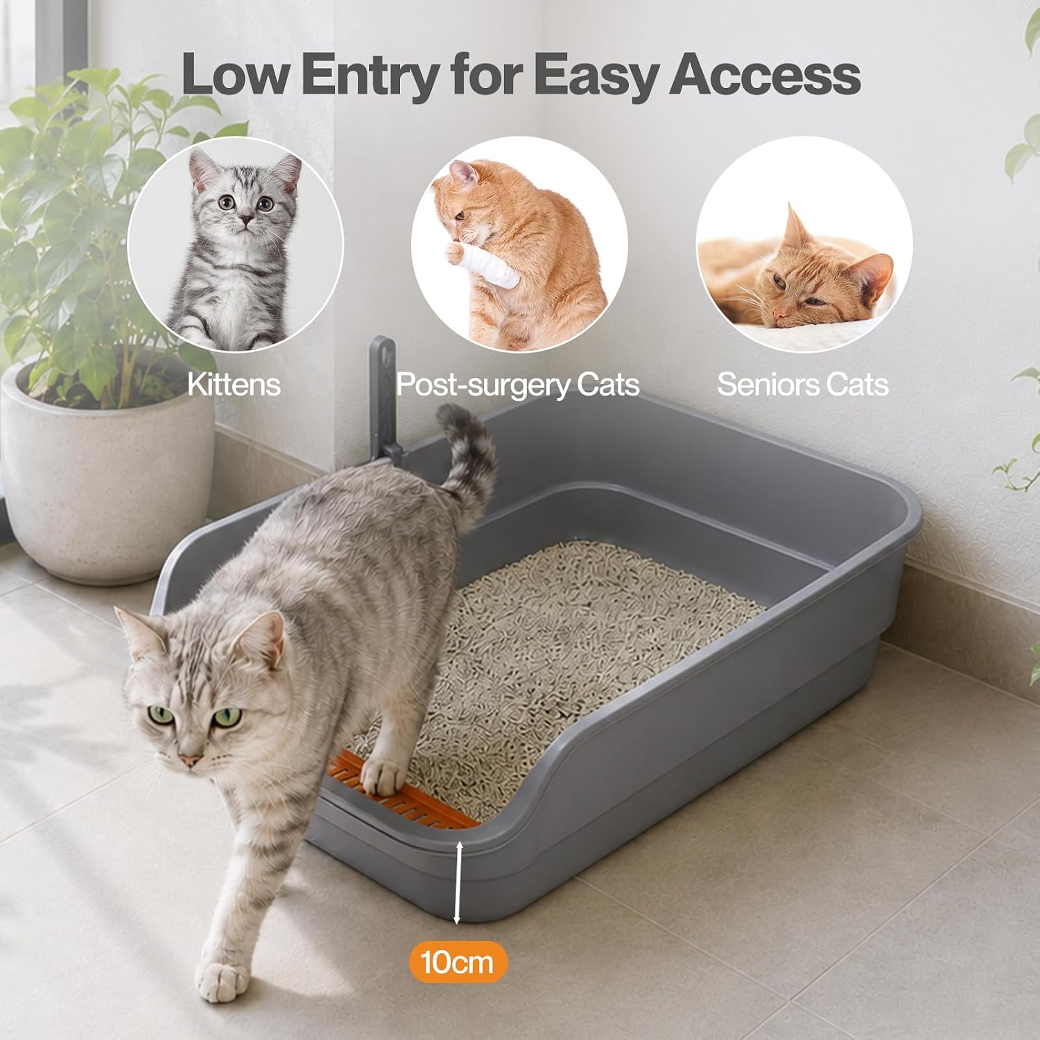 PaWz - Open Cat Litter Box with Scoop High Sided Kitty Litter Tray at Pet Servo