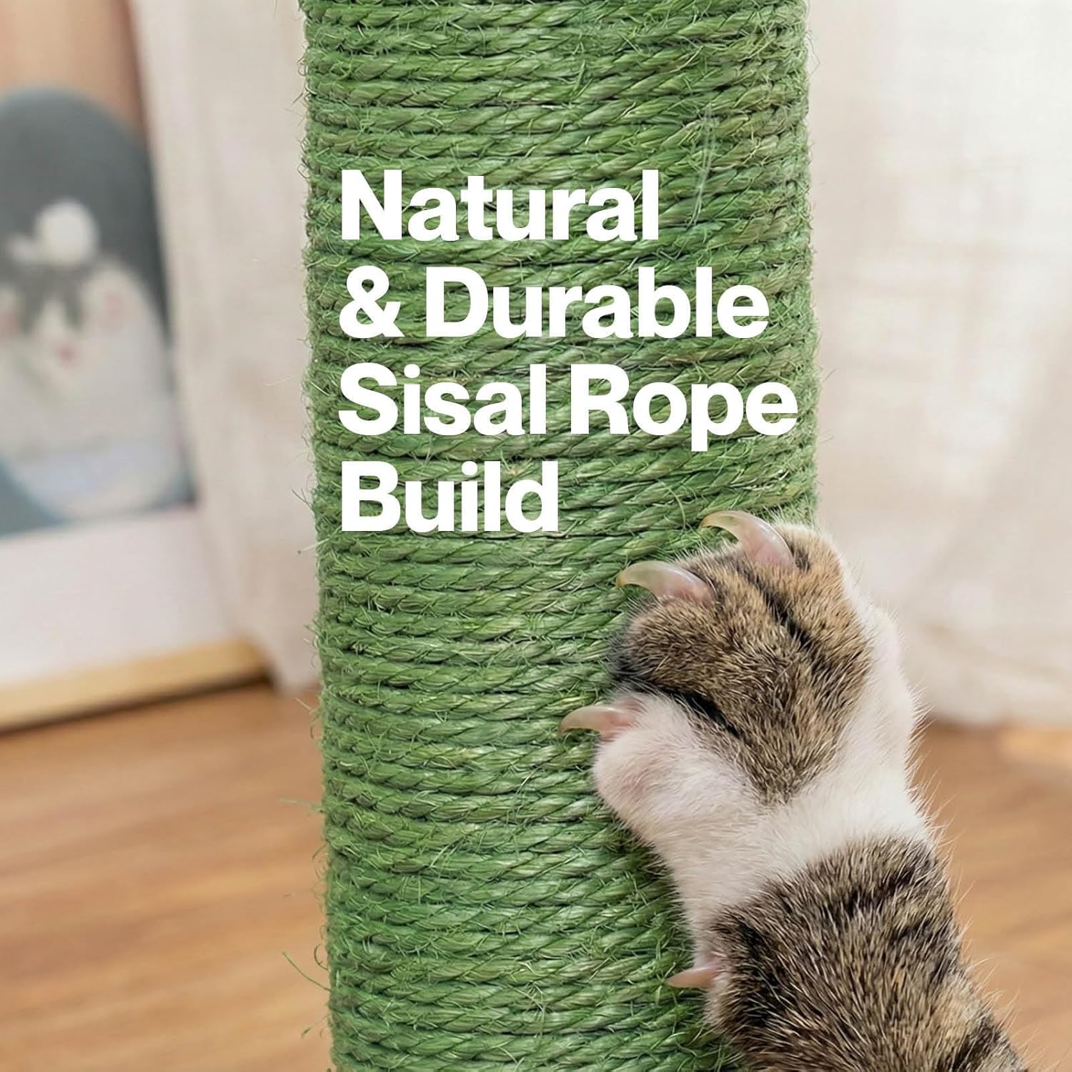 Cat climbing a green sisal rope scratcher with text 'Natural & Durable Sisal Rope Build' at Pet Servo