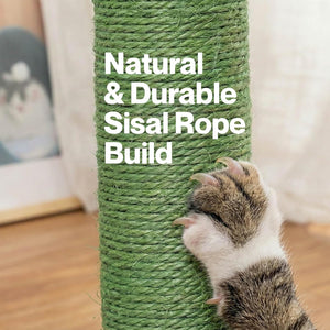 Cat climbing a green sisal rope scratcher with text 'Natural & Durable Sisal Rope Build' at Pet Servo