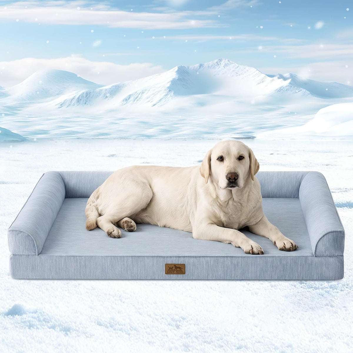 A light blue-gray dog bed with a cream-colored Labrador Retriever lying on it, set against a snowy mountain landscape background at Pet Servo