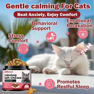 Cat lying down with a bottle of Euthown Calming Soft Chews on a blurred outdoor background at Pet Servo