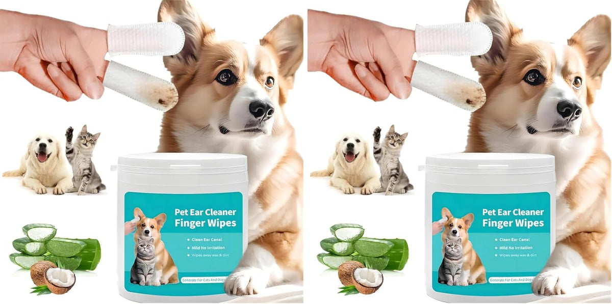 Two side-by-side composite images showing a person's hand holding a white pet ear cleaner wipe in front of a tan and white dog, with a jar labeled 'Pet Ear Cleaner Finger Wipes' and small pet photos on the label. Aloe vera leaves and coconut pieces are shown beside the jar on a white background at Pet Servo
